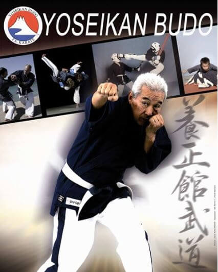 Logo Zanshin Arts Martiaux